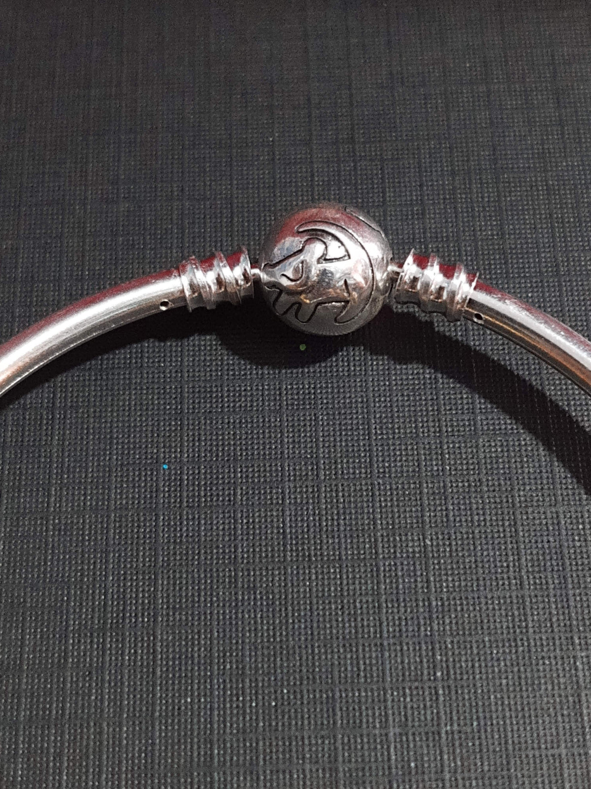 Rey León 🦁 (Plata)